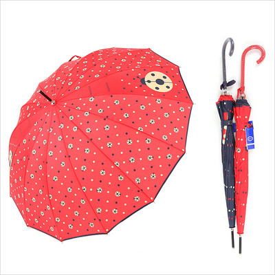 동그라미 자동장우산